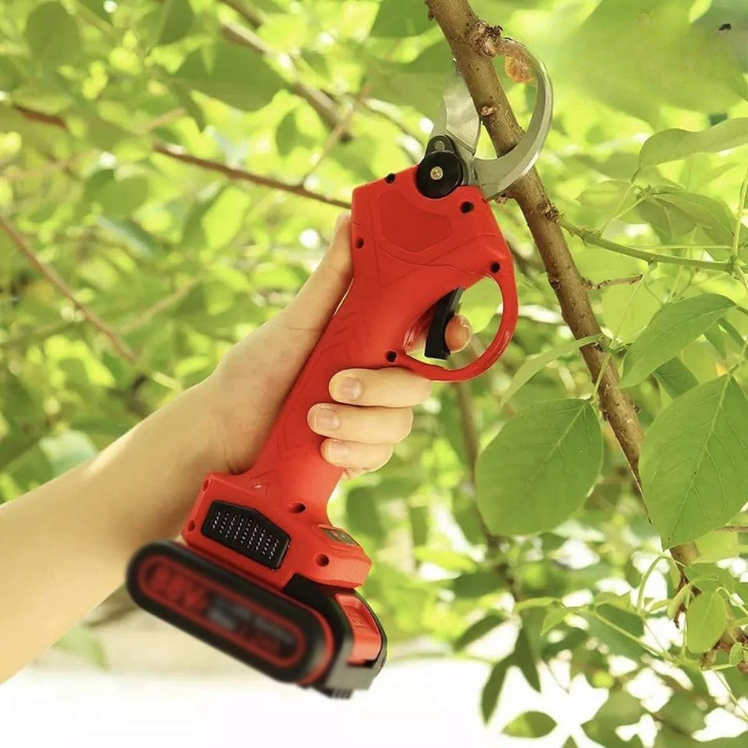 Foarfeca electrica pentru vita de vie, crengi, cu 2 Acumulatori 24V