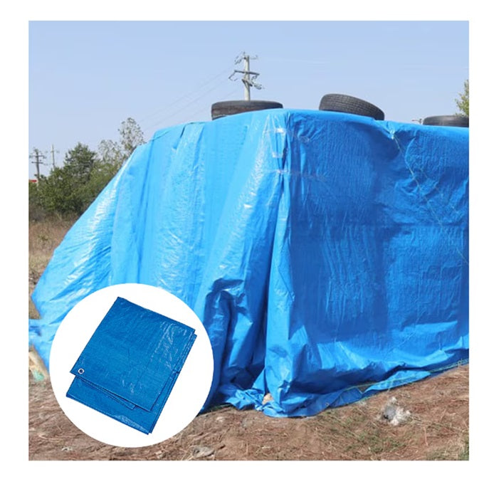 2d19ce57-0afa-4ee7-9b32-51158b12d9de_6