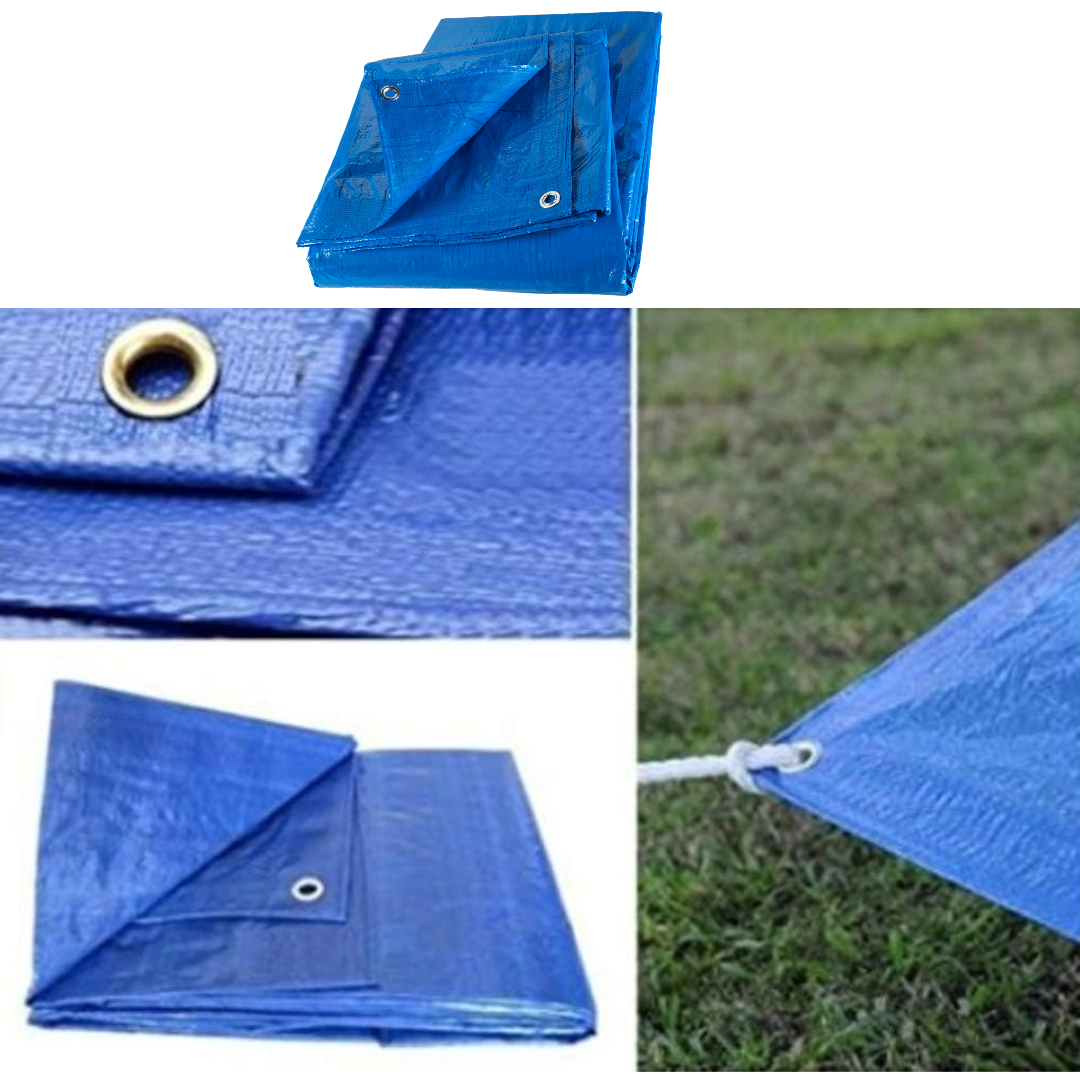 2d19ce57-0afa-4ee7-9b32-51158b12d9de_7